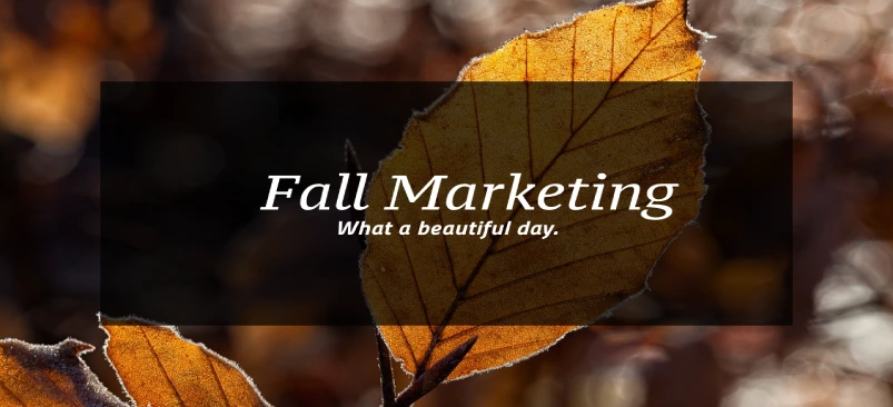 Fall Marketing Ideas to Grow Your Business in 2024